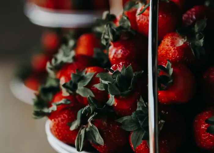 Campsite Puhkekeskus