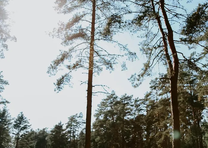 Campsite Puhkekeskus Valgeranna