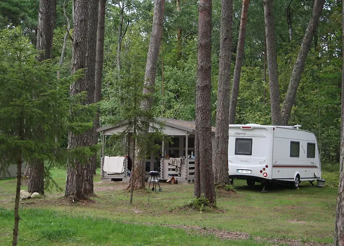 Campsite Puhkekeskus Valgeranna